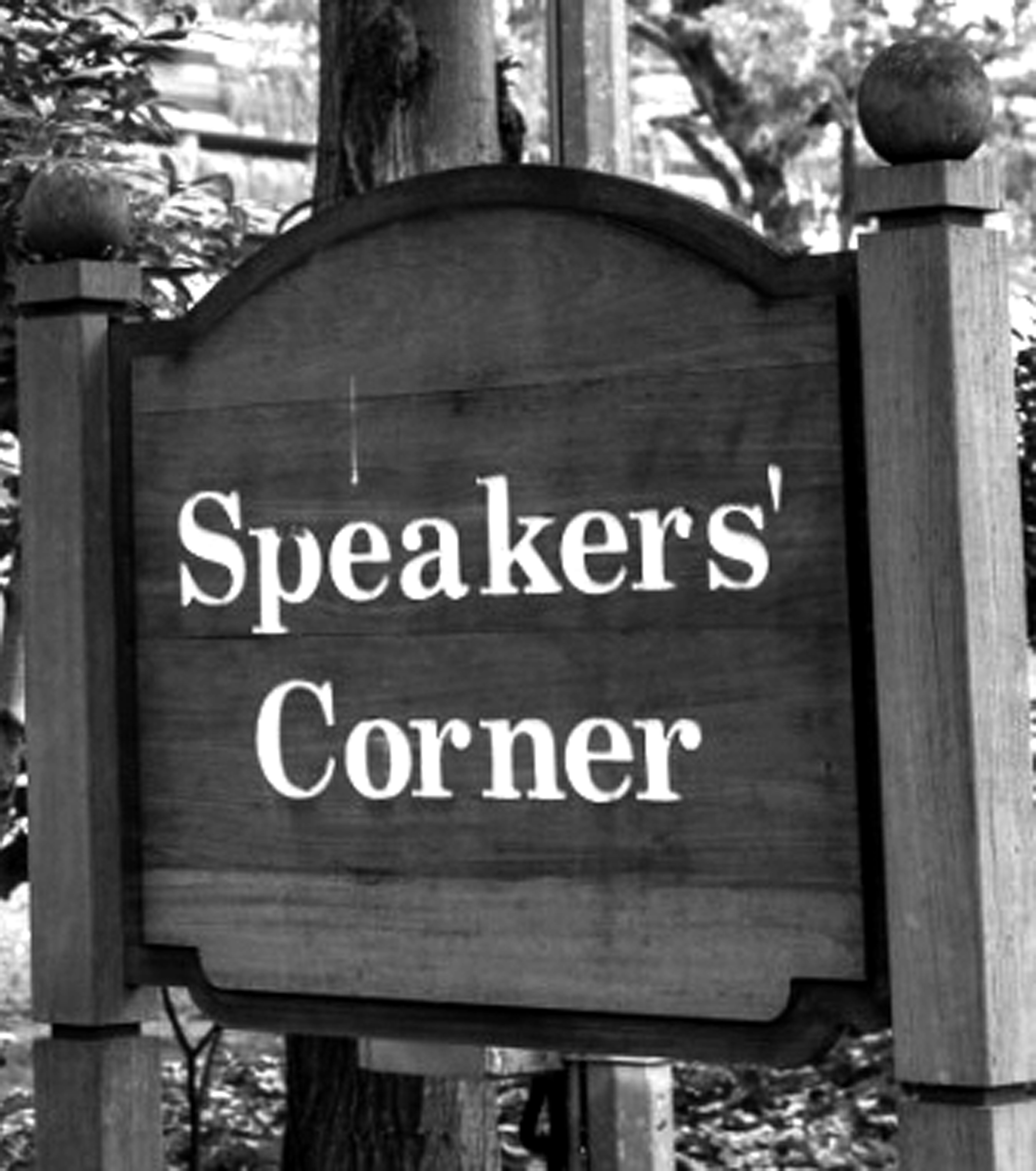 Speaker swe