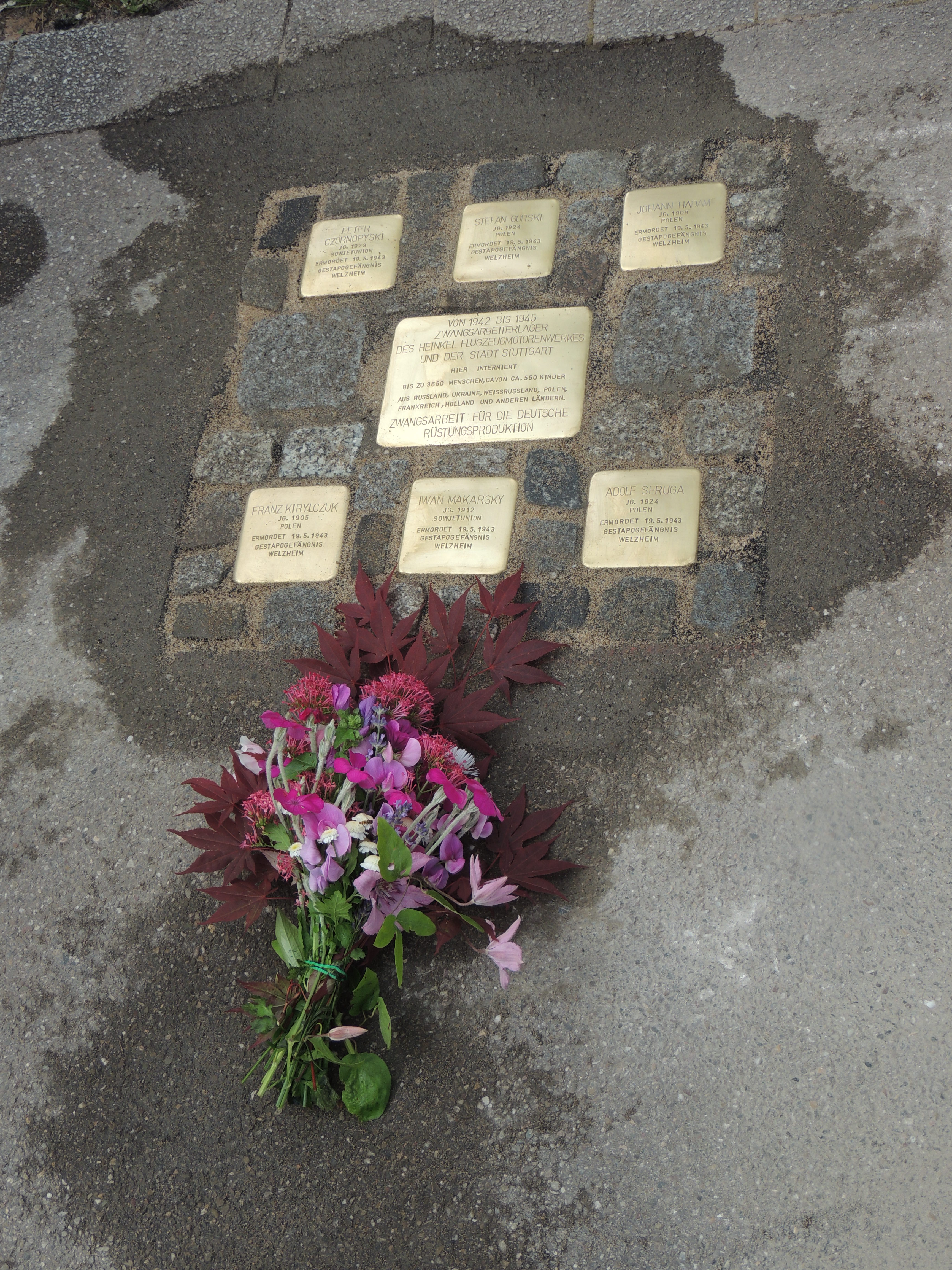 Stolpersteine für 6 in Welzheim ermordete Zwangsarbeiter aus der UdSSR, Schlotwiese Zuffenhausen, Foto:  Möller